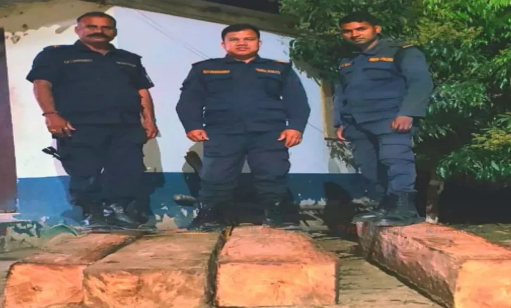 पर्सामा अवैध सालको काठ बरामद, तस्कर फरार