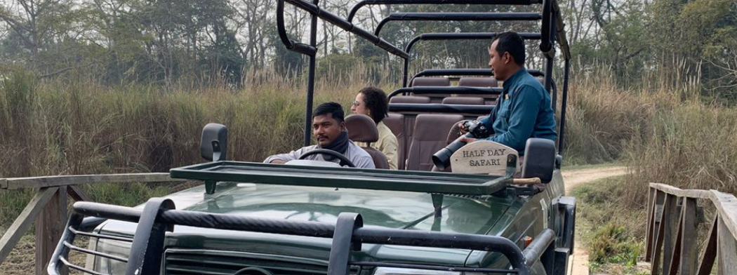 चितवन राष्ट्रिय निकुञ्जमा आन्तरिक पर्यटकको वृद्धि, विदेशी आगन्तुक घटे
